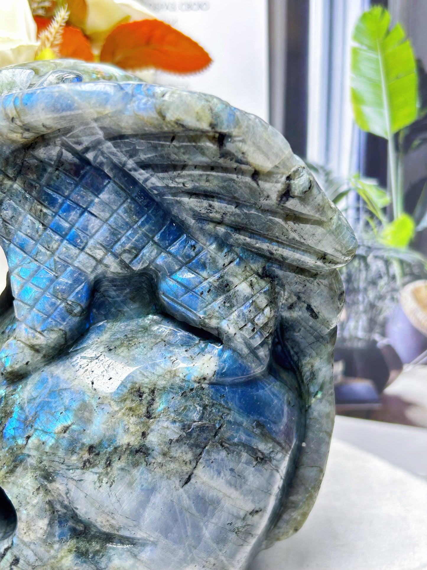 Dragón de labradorita natural de 2 kg/calavera de dragón de cristal/dragón volador de cristal/decoración del hogar/regalo de cristal